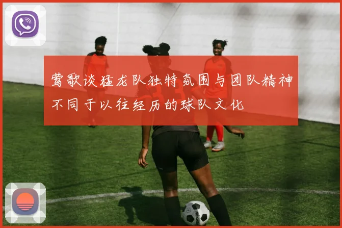 莺歌谈猛龙队独特氛围与团队精神不同于以往经历的球队文化