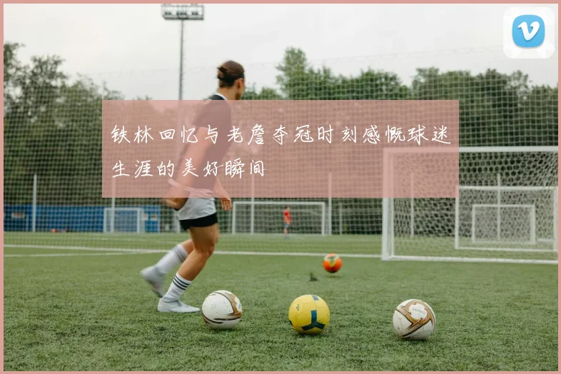 铁林回忆与老詹夺冠时刻感慨球迷生涯的美好瞬间